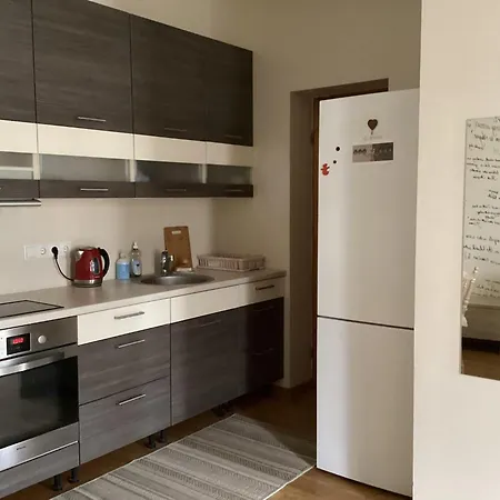 公寓 Hygge - Stylish Artistic With Free Weekend Parking 塔尔图